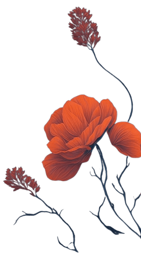Roses as background